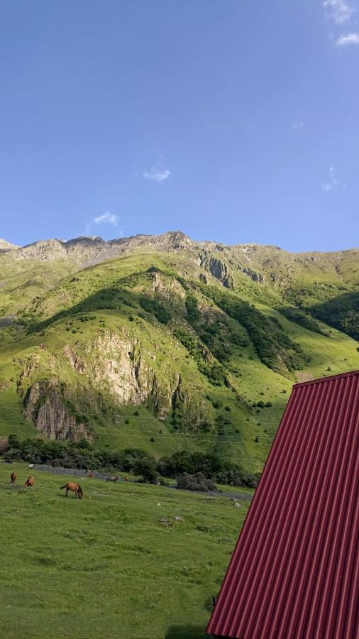 Mountain Flower Cottage Kazbegi Εξωτερικό φωτογραφία