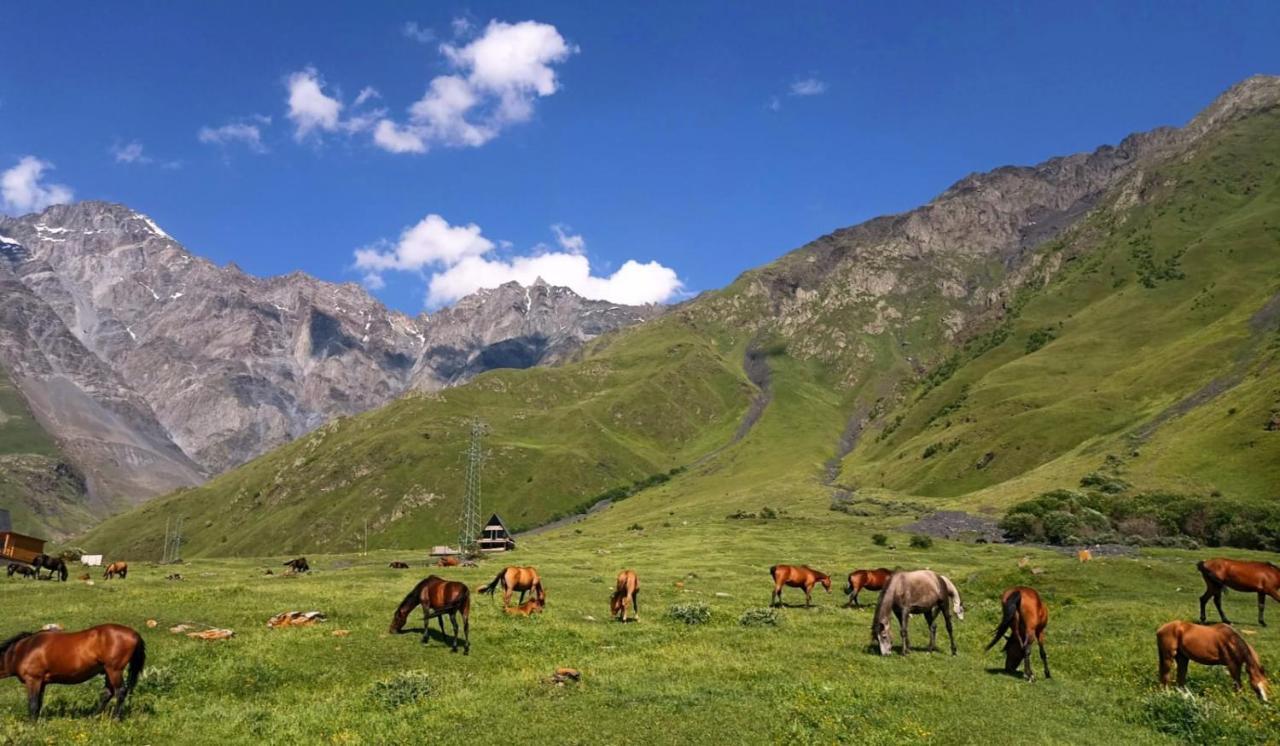 Mountain Flower Cottage Kazbegi Εξωτερικό φωτογραφία