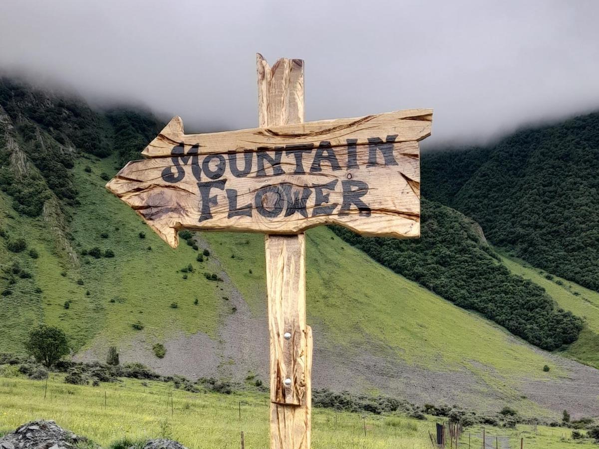 Mountain Flower Cottage Kazbegi Εξωτερικό φωτογραφία